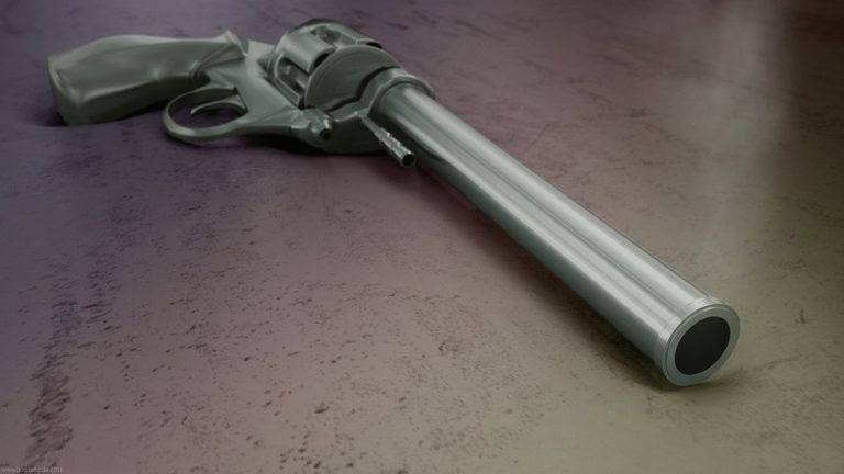 Stainless revolver on a dark surface